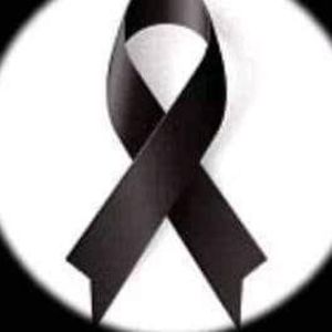 Meet your Posher, Hector